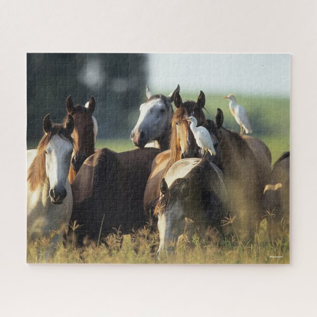 Puzzle Bob Langrish | Manada De Caballos De Pájaros (Horizontal)