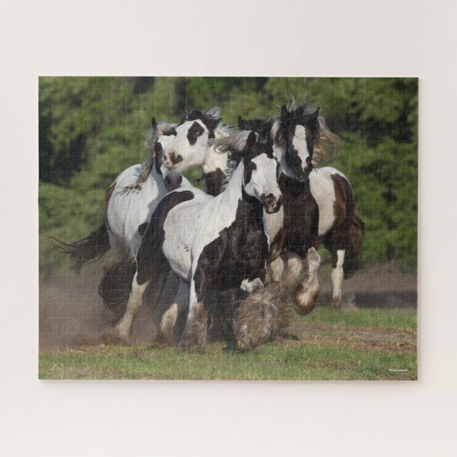 Puzzle Bob Langrish | Manada De Caballos Gitanos De Vanne (Horizontal)