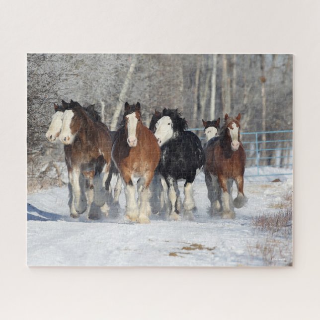 Puzzle Bob Langrish | Manada De Clydesdales En Nieve (Horizontal)