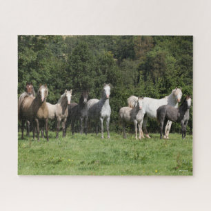 Puzzle Bob Langrish   Manada De Ponis Galeses De Pie