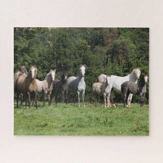 Puzzle Bob Langrish | Manada De Ponis Galeses De Pie (Horizontal)