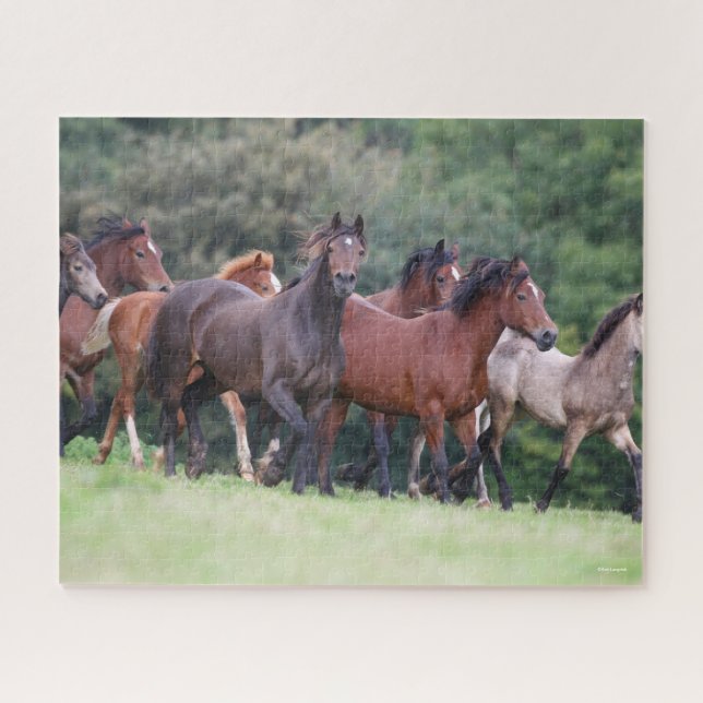 Puzzle Bob Langrish | Manada de ponis galeses en el campo (Horizontal)