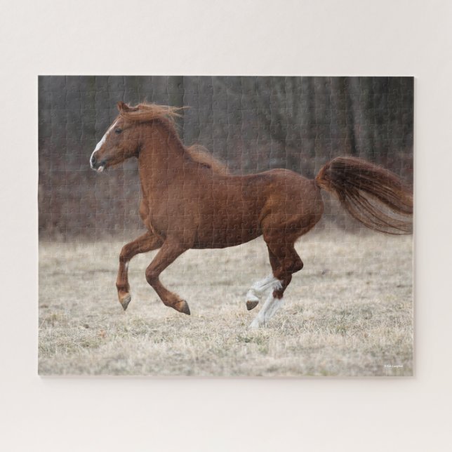 Puzzle Bob Langrish | Manejo de la Pony Hackney de castañ (Horizontal)