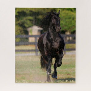 Puzzle Bob Langrish   Mare Friesia Negra en funcionamient