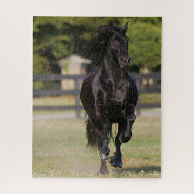 Puzzle Bob Langrish | Mare Friesia Negra en funcionamient (Vertical)