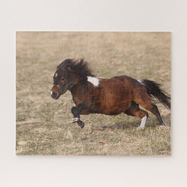 Puzzle Bob Langrish | Minimización de Pony que corre rápi (Horizontal)