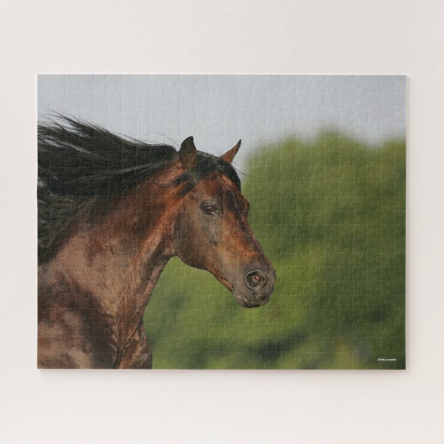 Puzzle Bob Langrish | Morgan Horse Headshot Flower Mane (Horizontal)