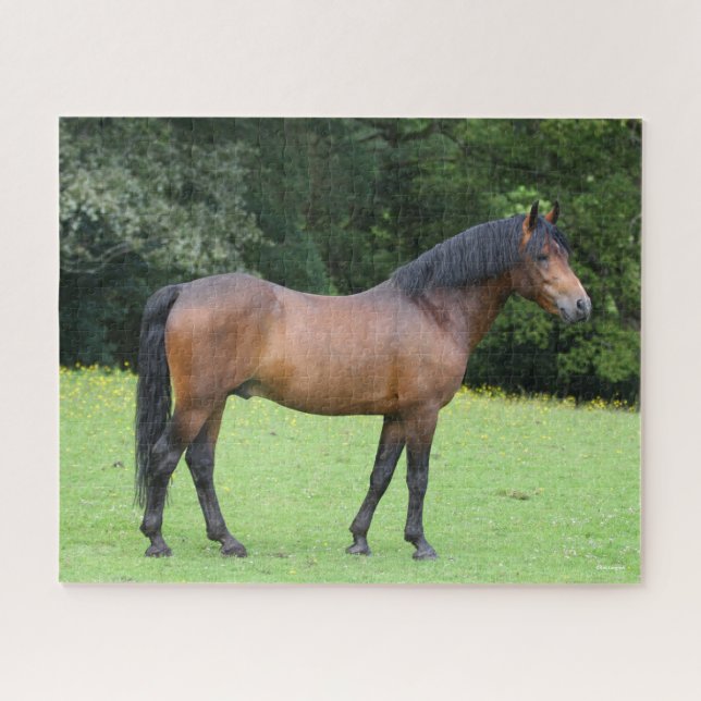 Puzzle Bob Langrish | Nuevo plantamiento de pony forestal (Horizontal)