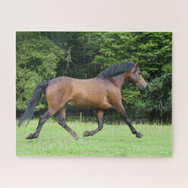 Puzzle Bob Langrish | Nuevo Stallion Forestal Pony (Horizontal)