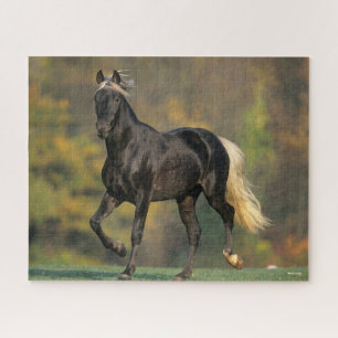 Puzzle Bob Langrish   Otoño de Caballo de Montaña Rocosa