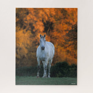 Puzzle Bob Langrish   Otoño de pie de guerra gris