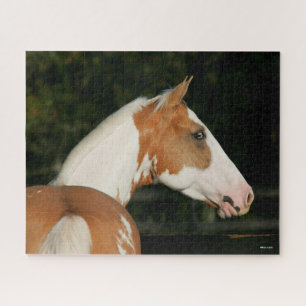 Puzzle Bob Langrish   Paint Horse Headshot