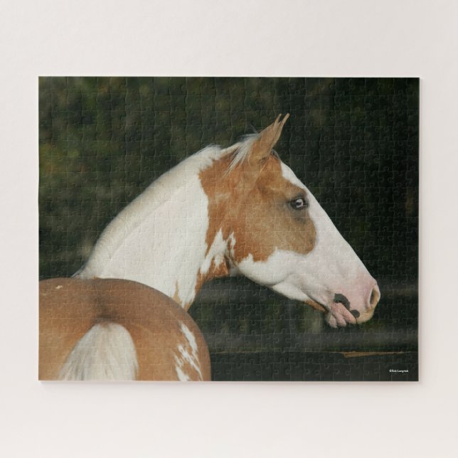 Puzzle Bob Langrish | Paint Horse Headshot (Horizontal)