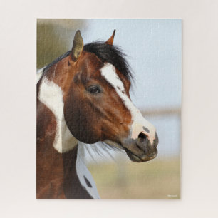 Puzzle Bob Langrish   Paint Horse Stallion en la cabeza