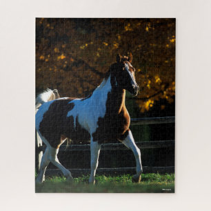 Puzzle Bob Langrish   Paint Horse Walking Backlit Otoño