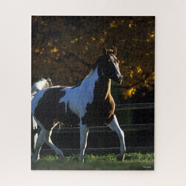 Puzzle Bob Langrish | Paint Horse Walking Backlit Otoño (Vertical)