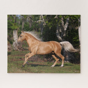 Puzzle Bob Langrish Palomino Lusitano Stallion Running