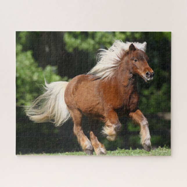 Puzzle Bob Langrish | Palomino Pony Running (Horizontal)