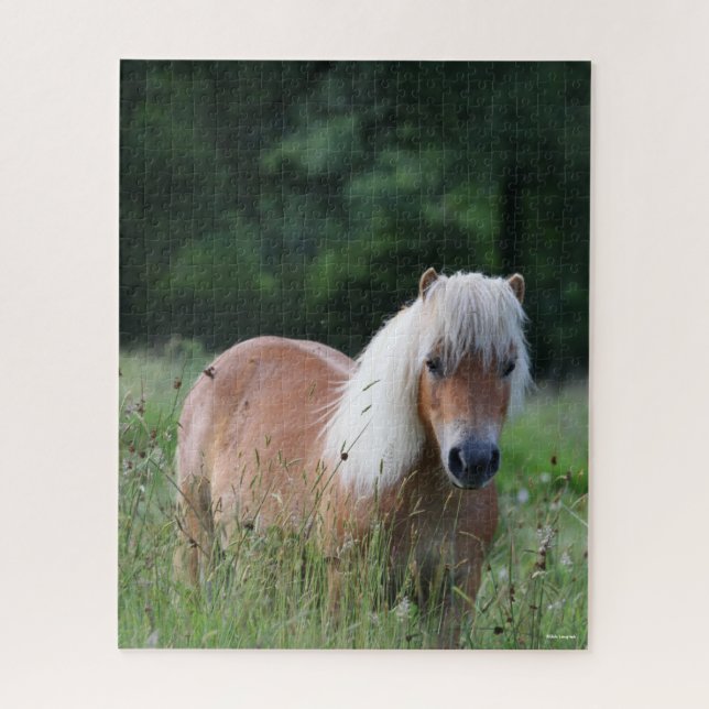 Puzzle Bob Langrish | Palomino Shetland De Pie (Vertical)