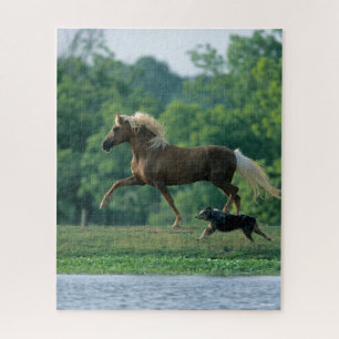 Puzzle Bob Langrish   Palomino Tennessee Walker y Perro