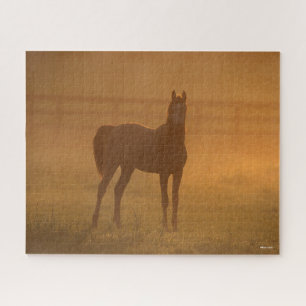 Puzzle Bob Langrish Parada Árabe En Niebla