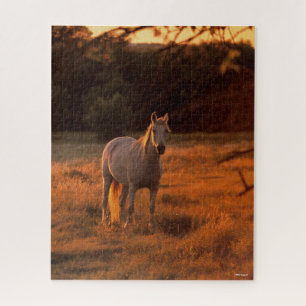 Puzzle Bob Langrish   Parada árabe gris al atardecer