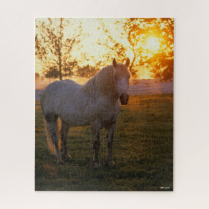 Puzzle Bob Langrish   Percheron Gris De pie Al Atardecer