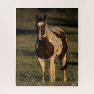 Puzzle Bob Langrish   Pintar el caballito