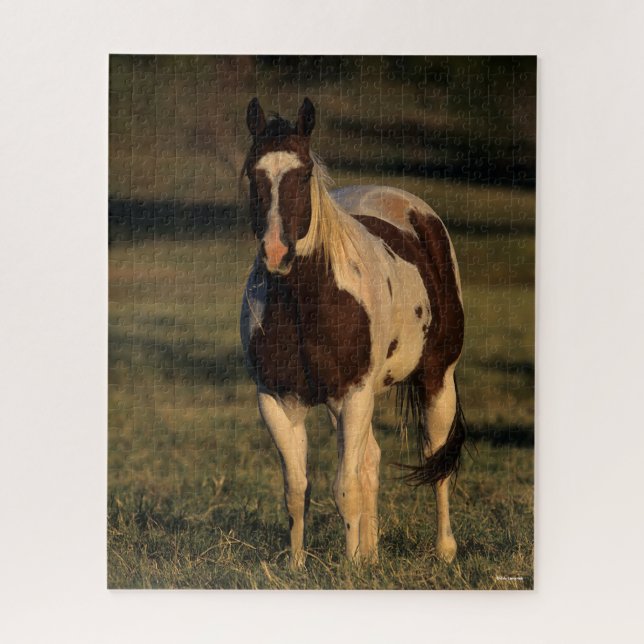 Puzzle Bob Langrish | Pintar el caballito (Vertical)