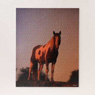 Puzzle Bob Langrish   Pintar el caballo de pie al atardec