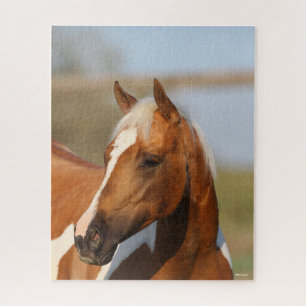 Puzzle Bob Langrish   Pintura de cabeza de caballo