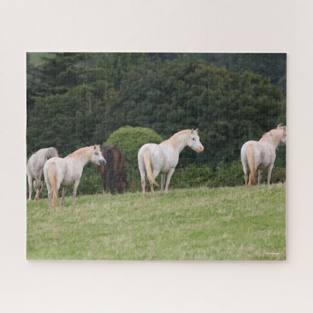 Puzzle Bob Langrish | Ponies Galeses En Pie (Horizontal)