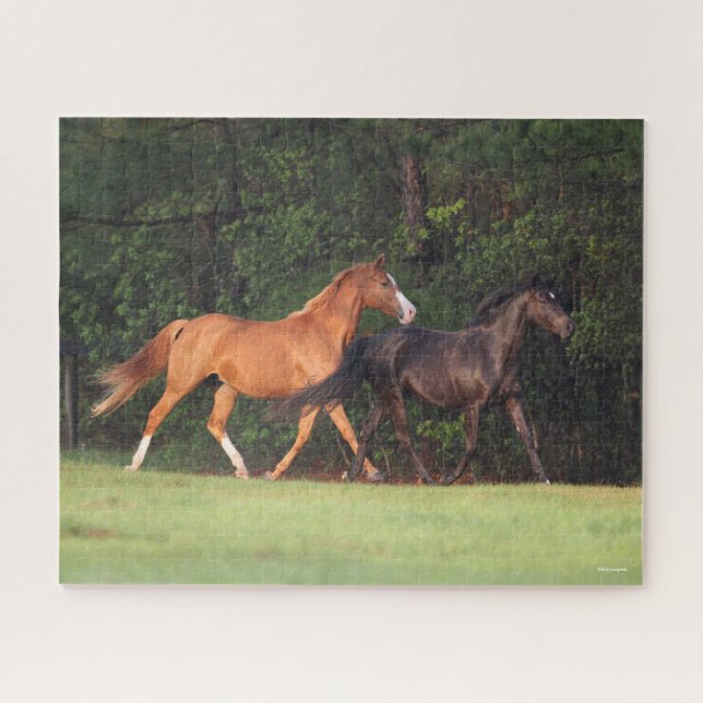 Puzzle Bob Langrish | Pony Alemán Y Oldenburg (Horizontal)