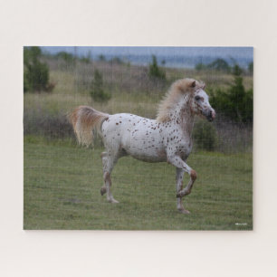 Puzzle Bob Langrish Pony De América
