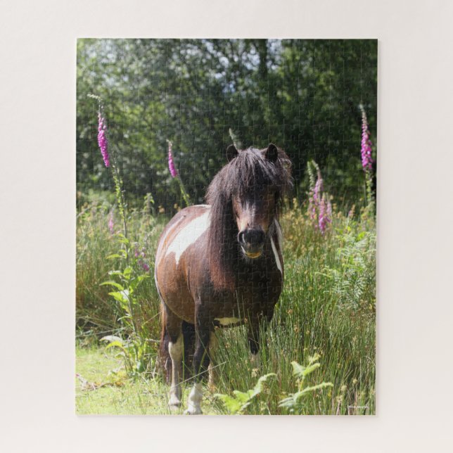 Puzzle Bob Langrish | Pony De Shetland De Flores (Vertical)