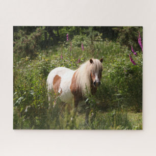 Puzzle Bob Langrish   Pony De Shetland De pie En Flores