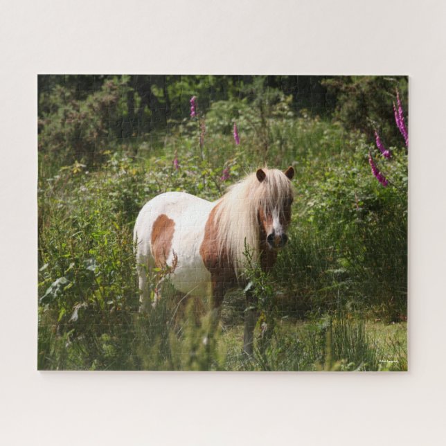 Puzzle Bob Langrish | Pony De Shetland De pie En Flores (Horizontal)