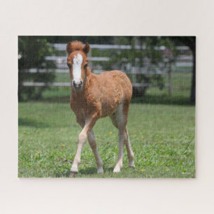 Puzzle Bob Langrish   Pony Foal Walking en miniatura