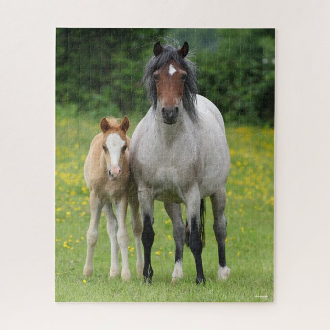 Puzzle Bob Langrish | Pony Mare galés y pie de templos (Vertical)