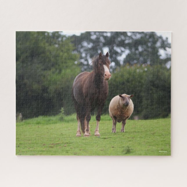 Puzzle Bob Langrish | Pony Mare Galesa De Pie Con Oveja (Horizontal)