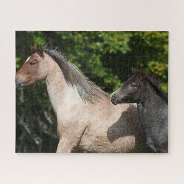 Puzzle Bob Langrish | Pony Mare galesa y Foot Headshot (Horizontal)