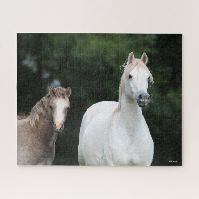 Puzzle Bob Langrish | Pony Mare y Foal galeses (Horizontal)