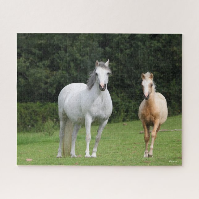 Puzzle Bob Langrish | Pony Mare y Foal galeses (Horizontal)
