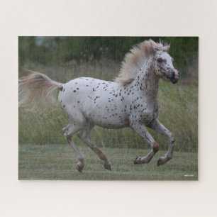 Puzzle Bob Langrish Pony Parcial De América En Marcha