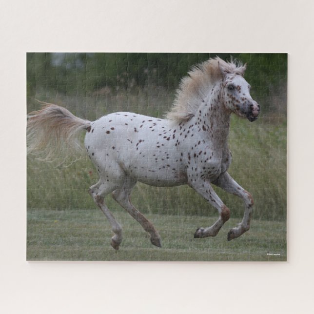 Puzzle Bob Langrish | Pony Parcial De América En Marcha (Horizontal)