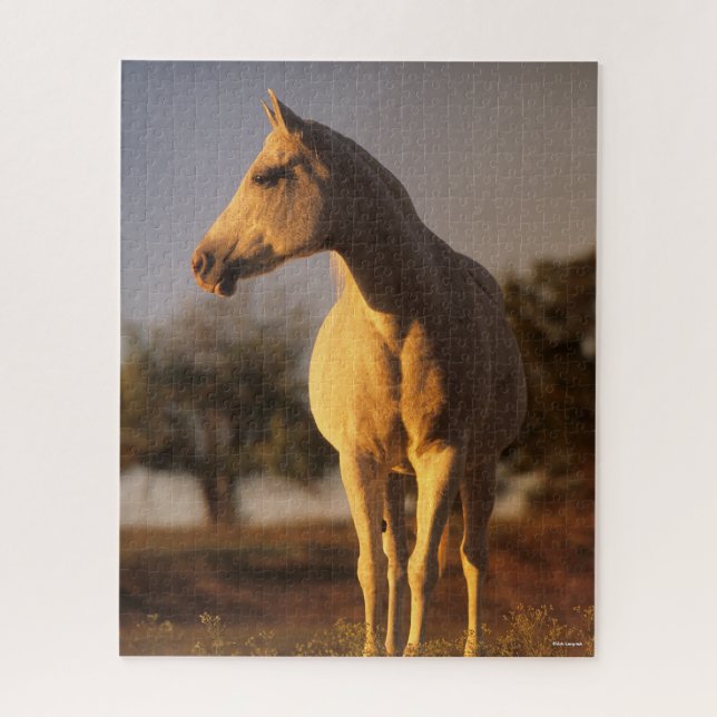 Puzzle Bob Langrish | Posición árabe gris (Vertical)