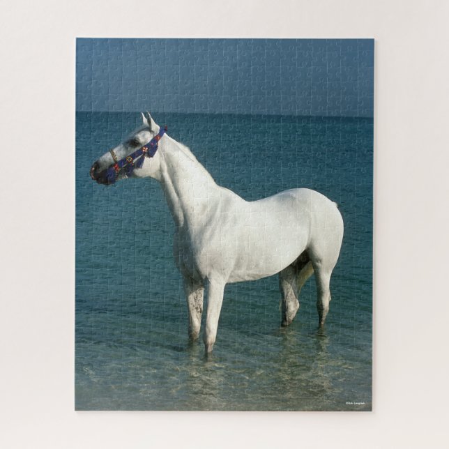 Puzzle Bob Langrish | Posición Árabe Gris En El Mar (Vertical)