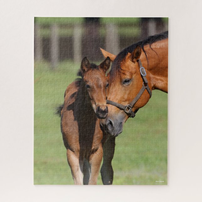 Puzzle Bob Langrish Quarter Horse Mare y Foal Cudddling (Vertical)