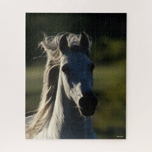 Puzzle Bob Langrish   Retroiluminación de la cabeza de A