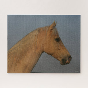 Puzzle Bob Langrish   Tennessee Walker Misty Headshot